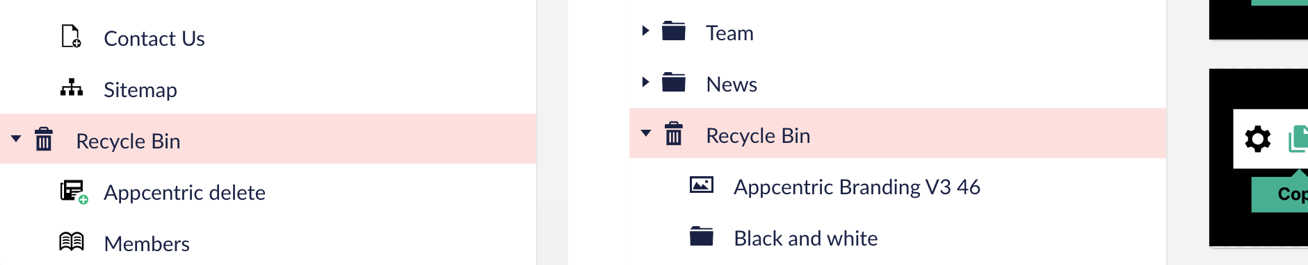 Recycle Bin Contents