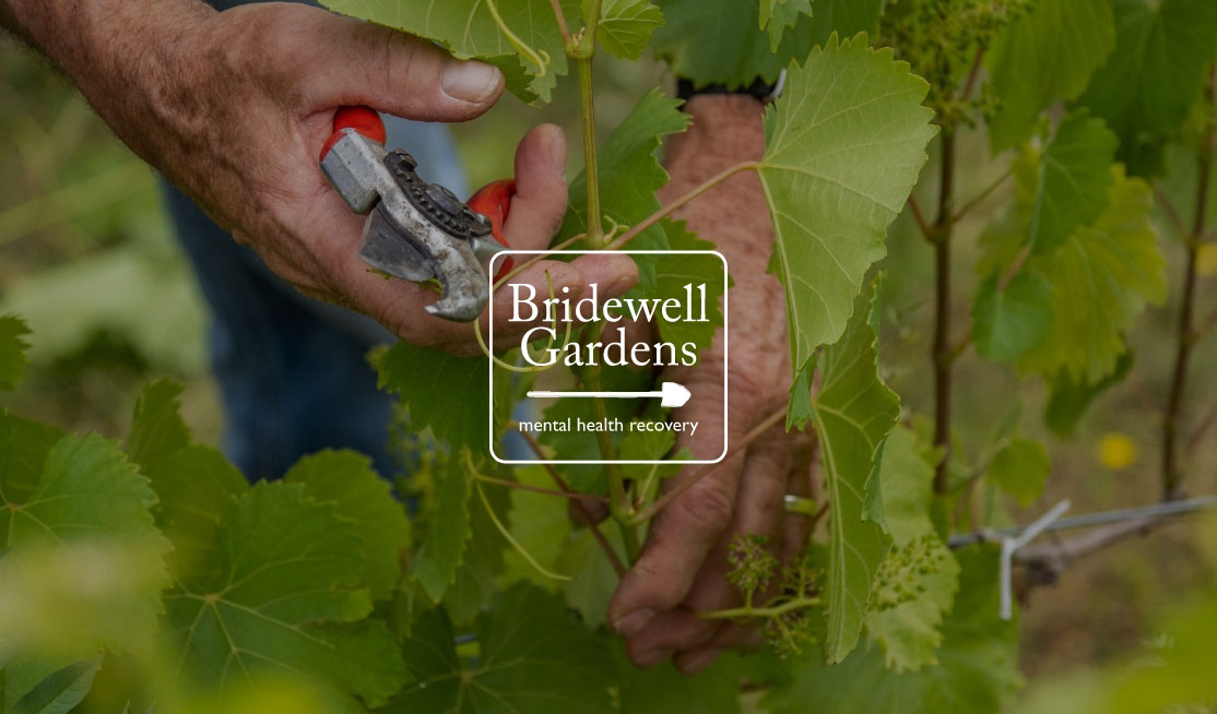 bridewell gardens challenge.jpg
