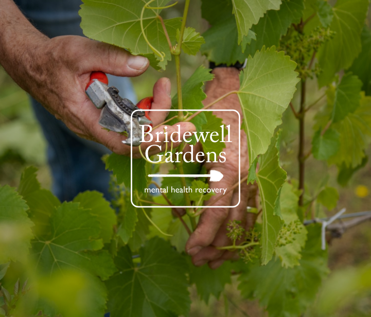 Bridewell Gardens Cover Image
